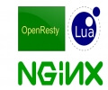 用Nginx with Lua代替Varnish